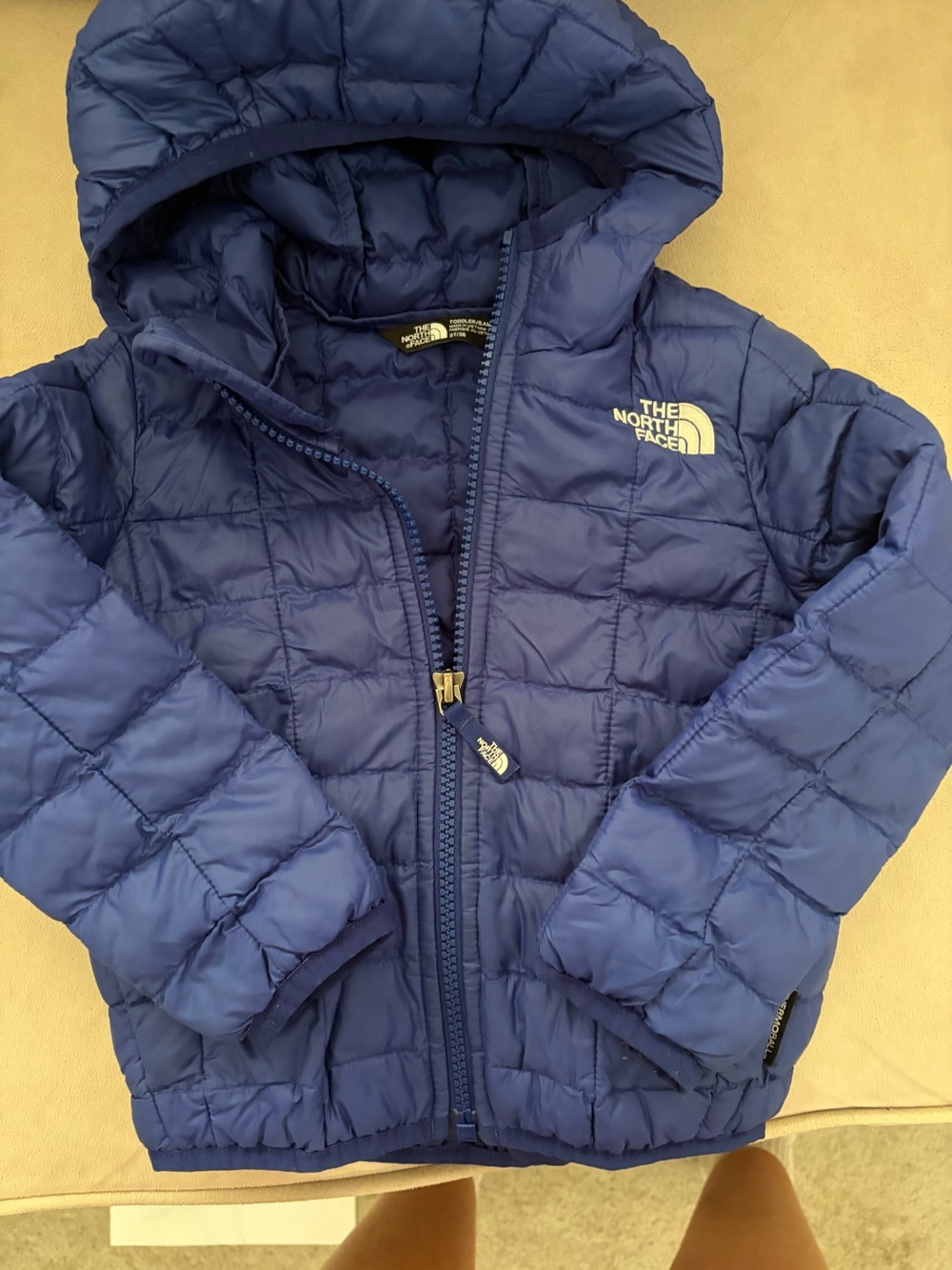 The North Face Toddler Puffer Jacket in Royal Blue